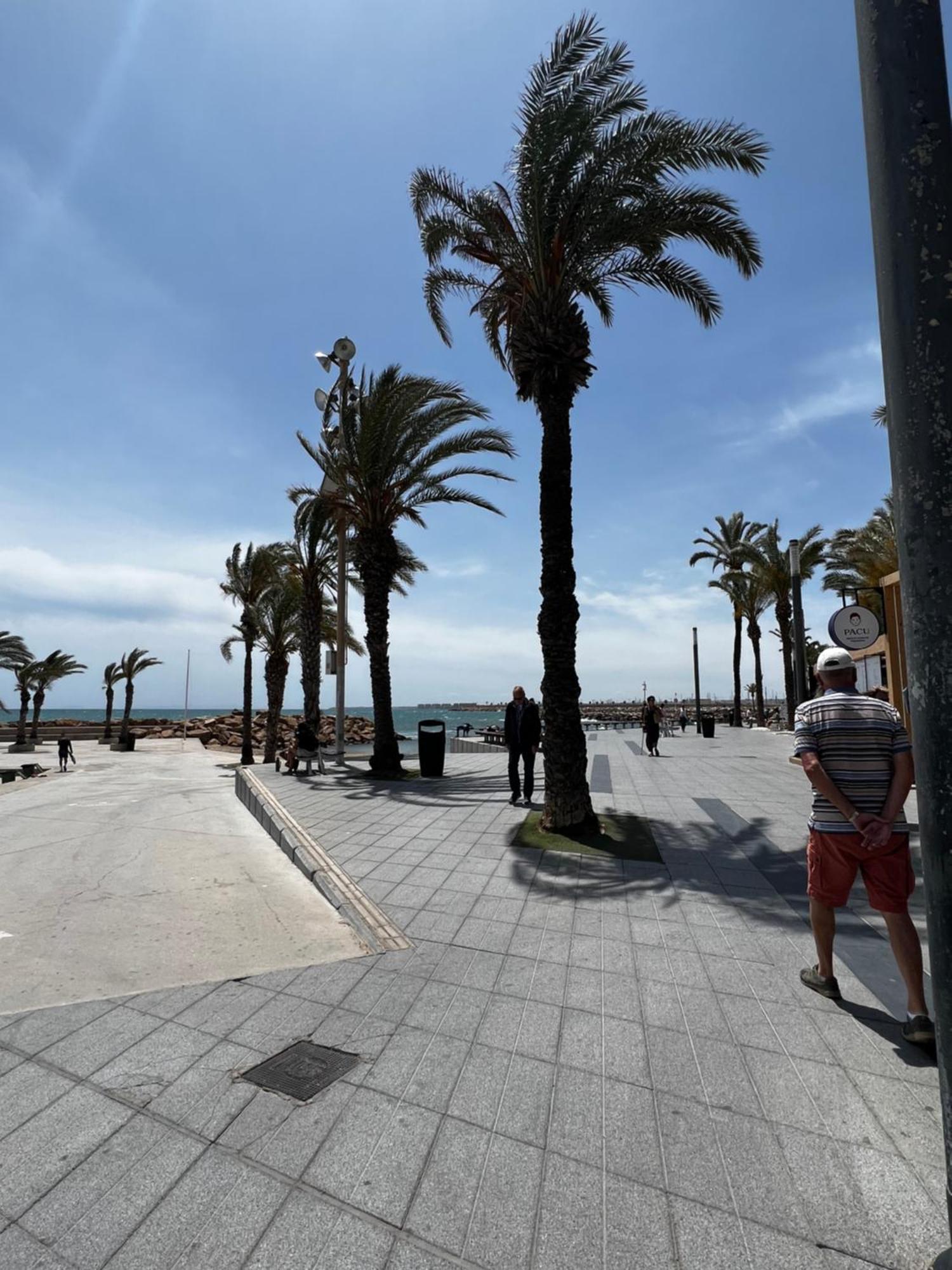 Apartamento Sunset Playa Del Cura Torrevieja Exterior foto